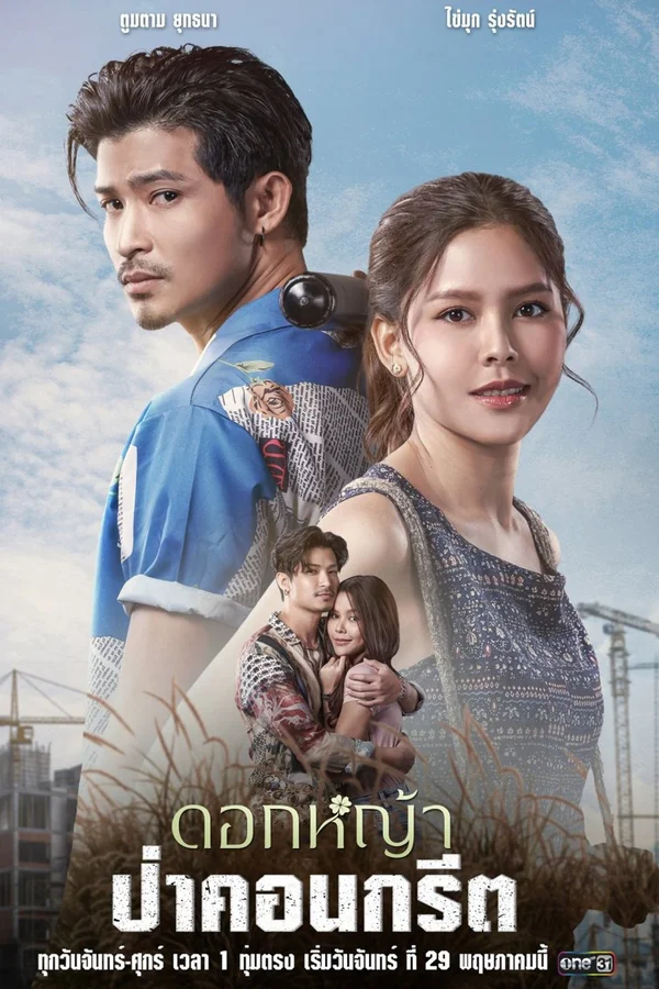 Xem A Wildflower in the City Online - Cùng Xem Cùng Chill | Phim Hay C