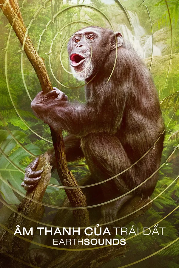 Xem Âm Thanh Của Trái Đất - Earthsounds Online - Cùng Xem Cùng Chill | Phim Hay C