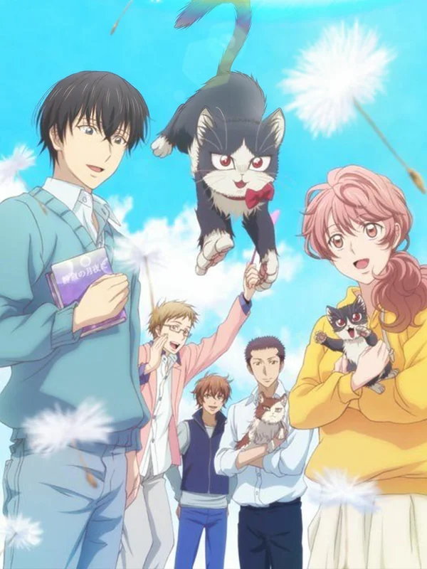 Xem Bạn cùng phòng là mèo Online - Cùng Xem Cùng Chill | Phim Hay C