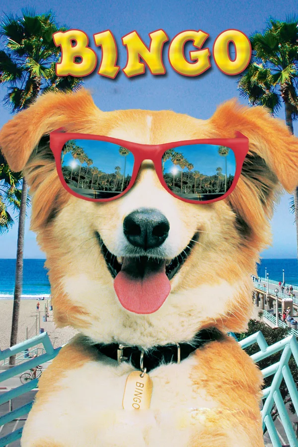 Xem Bingo Online - Cùng Xem Cùng Chill | Phim Hay C