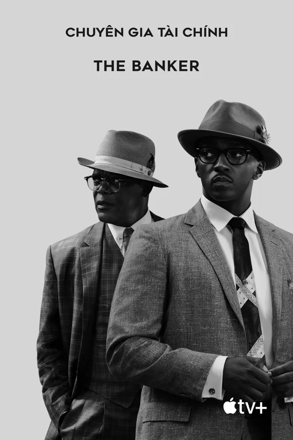 Xem Chuyên Gia Tài Chính Online - Cùng Xem Cùng Chill | Phim Hay C