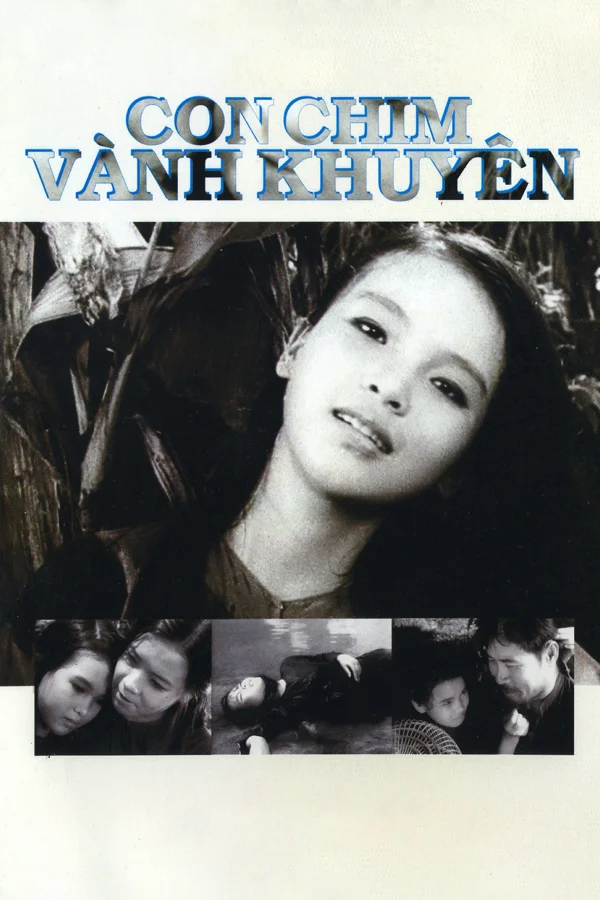 Xem Con Chim Vành Khuyên Online - Cùng Xem Cùng Chill | Phim Hay C