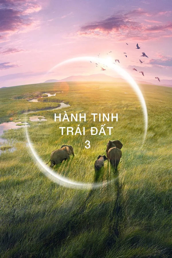 Xem Hành Tinh Trái Đất 3 Online - Cùng Xem Cùng Chill | Phim Hay C