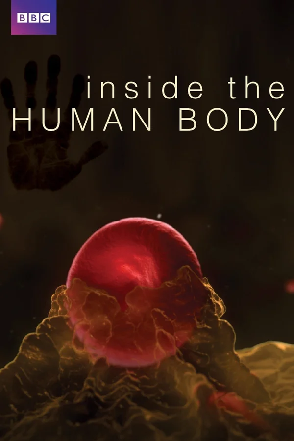 Xem Inside the Human Body Online - Cùng Xem Cùng Chill | Phim Hay C