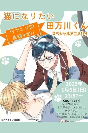 Xem Neko ni Naritai Tamagawa-kun Online - Cùng Xem Cùng Chill | Phim Hay C