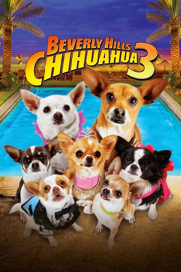 Xem Những Chú Chó Chihuahua 3 Online - Cùng Xem Cùng Chill | Phim Hay C