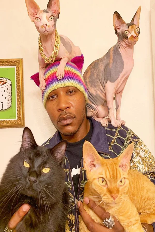 Xem Những người yêu mèo Online - Cùng Xem Cùng Chill | Phim Hay C